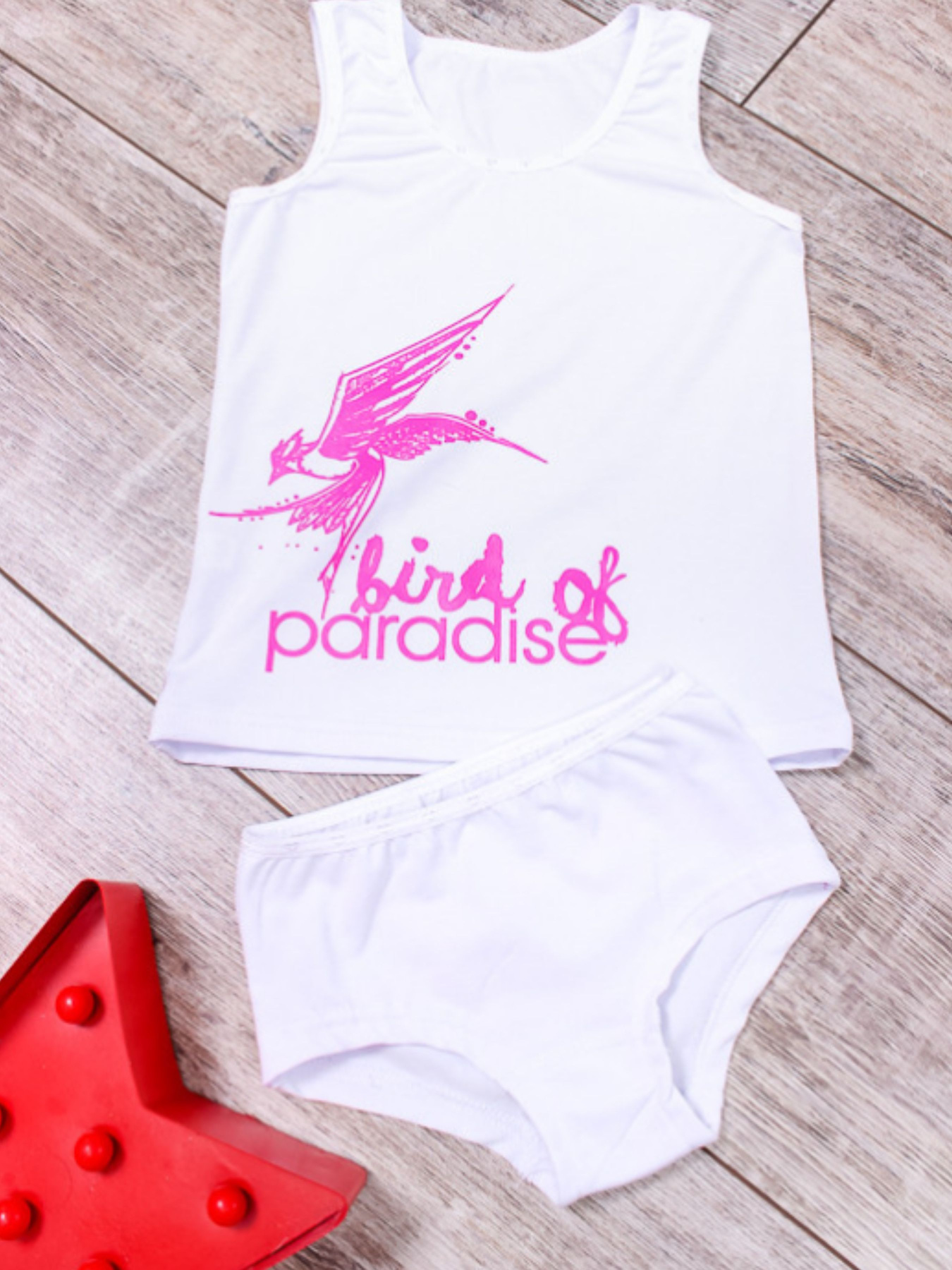 Комплект белья Носи своє модель 6184-036-33-blij-ptashka Фото