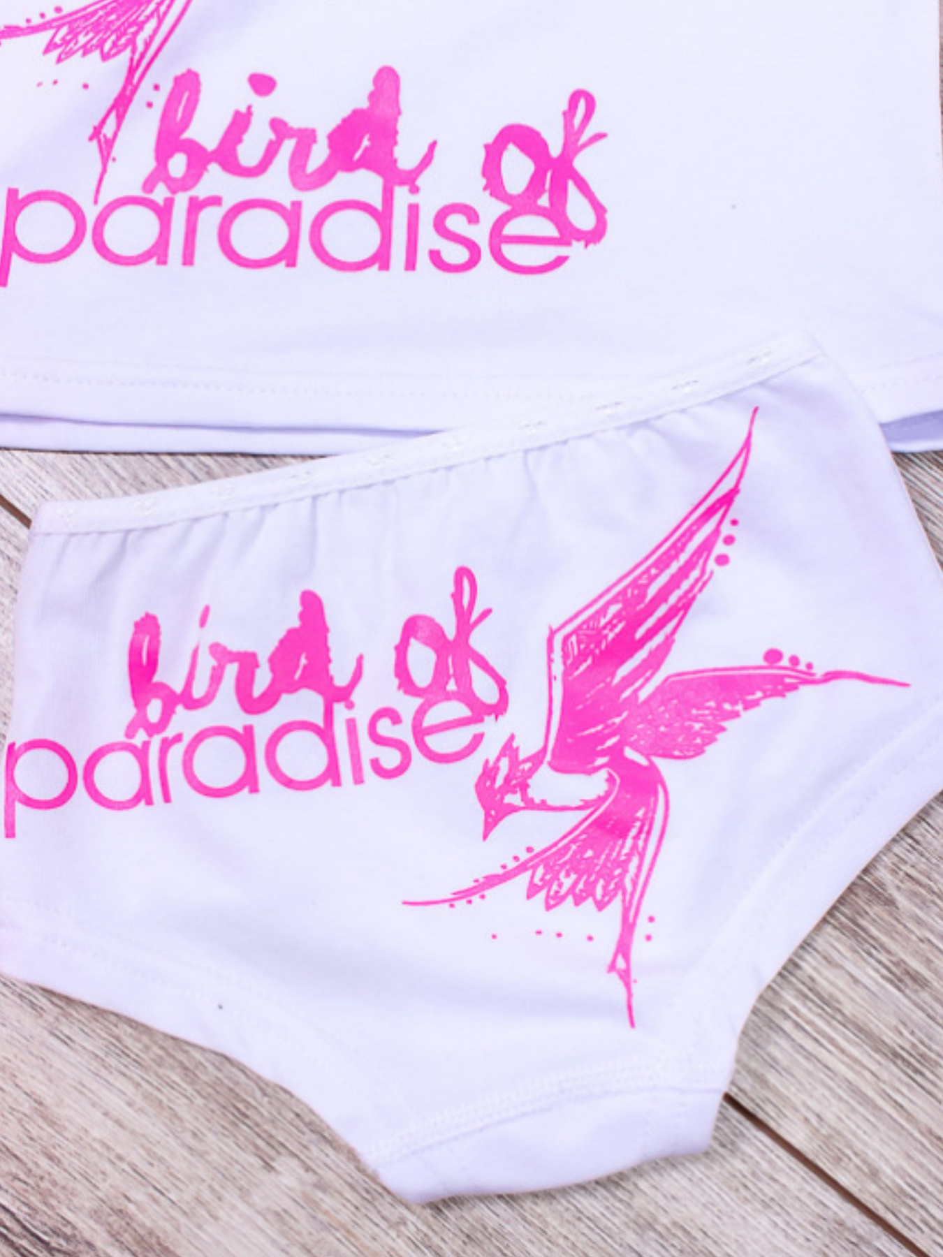 Комплект белья Носи своє модель 6184-036-33-blij-ptashka Фото