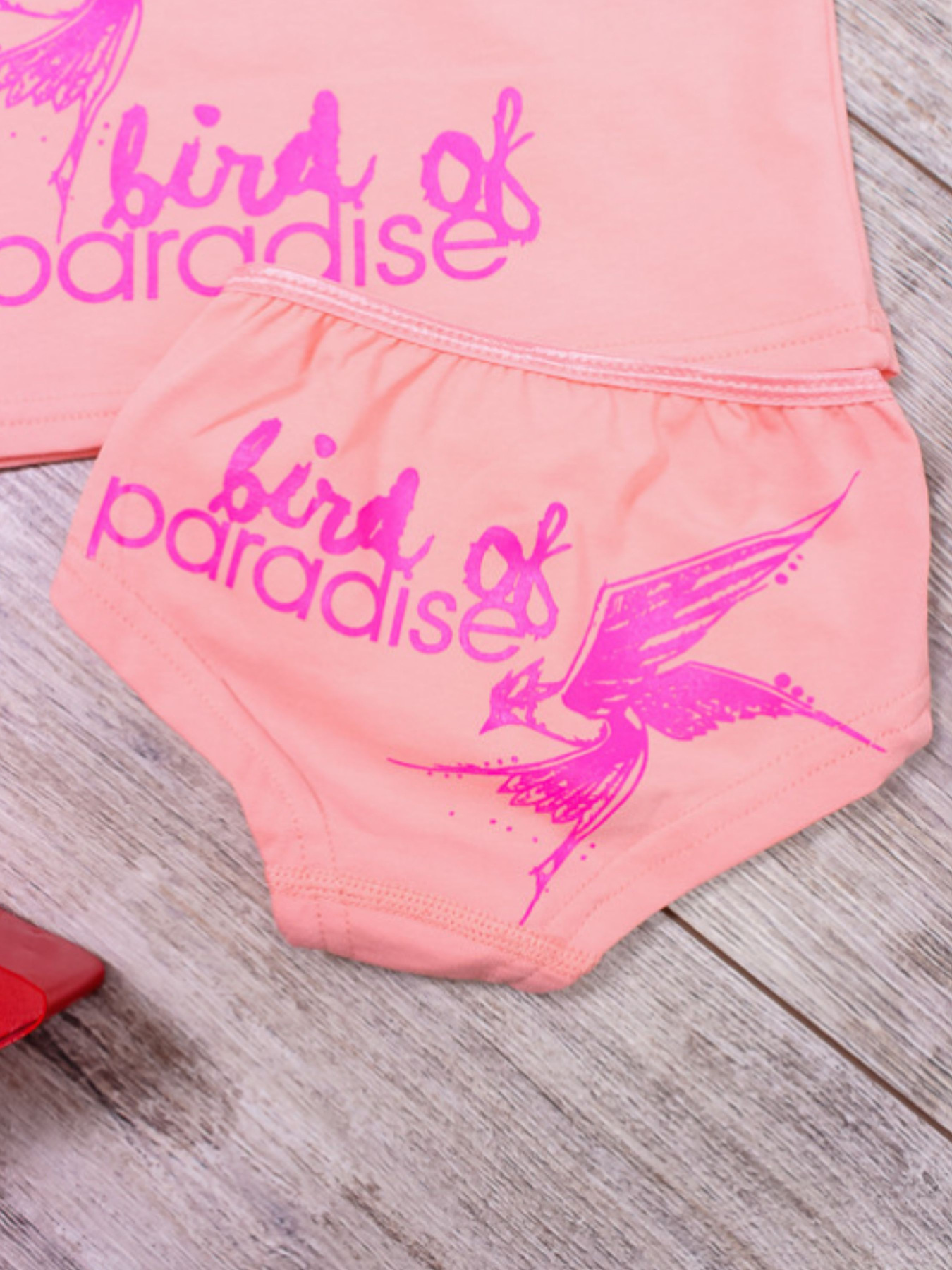 Комплект белья Носи своє модель 6184-036-33-persik-ptashka Фото