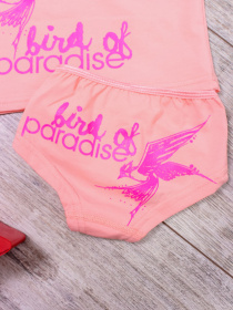 Комплект белья Носи своє модель 6184-036-33-persik-ptashka Фото