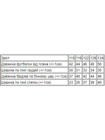Повседневный костюм Носи своє модель 6187-057-33-blij-hak Фото