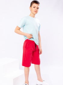 Повседневные шорты Носи своє модель 6208-057-chervonij Повседневные шорты Носи своє модель 6208-057-chervonij Фото