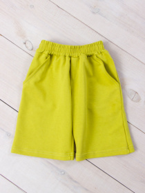 Шорты Носи своє модель 6208-057-citrus Фото