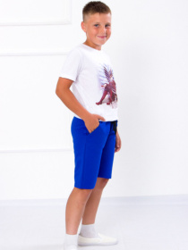 Повседневные шорты Носи своє модель 6208-057-elektrik Фото