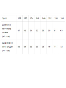 Блуза Носи своє модель 6216-066-blij Фото