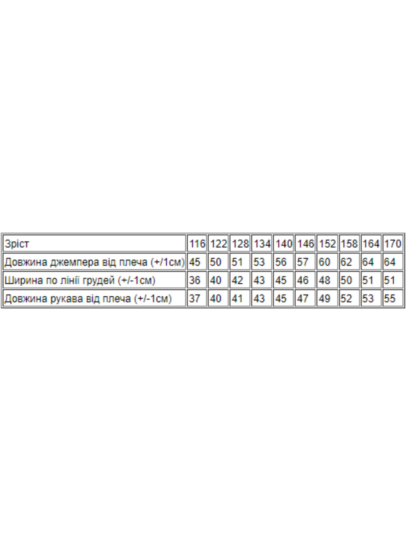 Худі Носи своє модель 6226-057-burshtin Фото