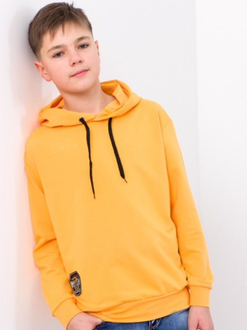 Худи Носи своє модель 6226-057-burshtin Фото