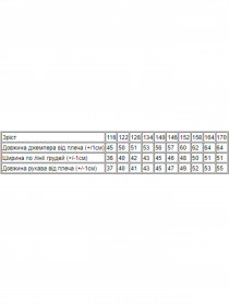 Худі Носи своє модель 6226-057-temna-bryuza Фото