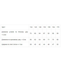 Джогери Носи своє модель 6231-025-srij Фото