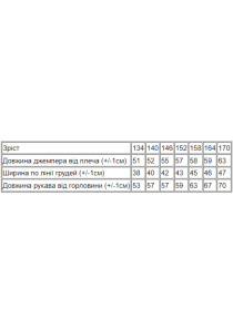 Свитшот Носи своє модель 6235-025-33-chornij-strong Фото