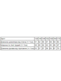 Свитшот Носи своє модель 6235-025-33-srij-hak Фото