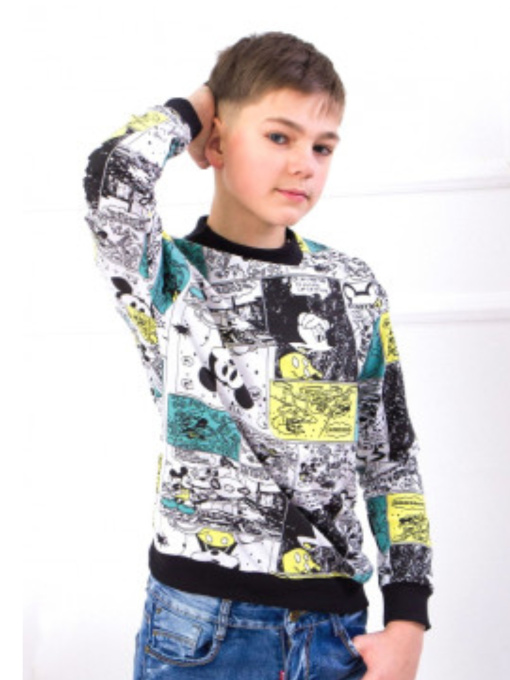 Свитшот Носи своє модель 6235-055-mkk Фото