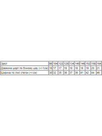 Повсякденні шорти Носи своє модель 6242-057-blakitnij Фото