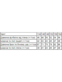 Костюм Носи своє модель 6251-057-33-garbuzovij Фото