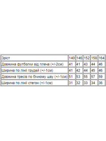 Костюм Носи своє модель 6252-057-33-sakura-listochki Фото