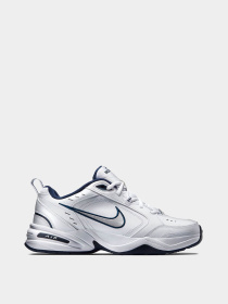 Кроссовки NIKE модель 415445-102 Фото
