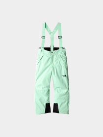 Брюки The North Face модель NF0A7X3P6S01 Фото