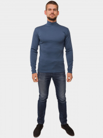 Водолазка Наталюкс модель 9414039411811 Фото