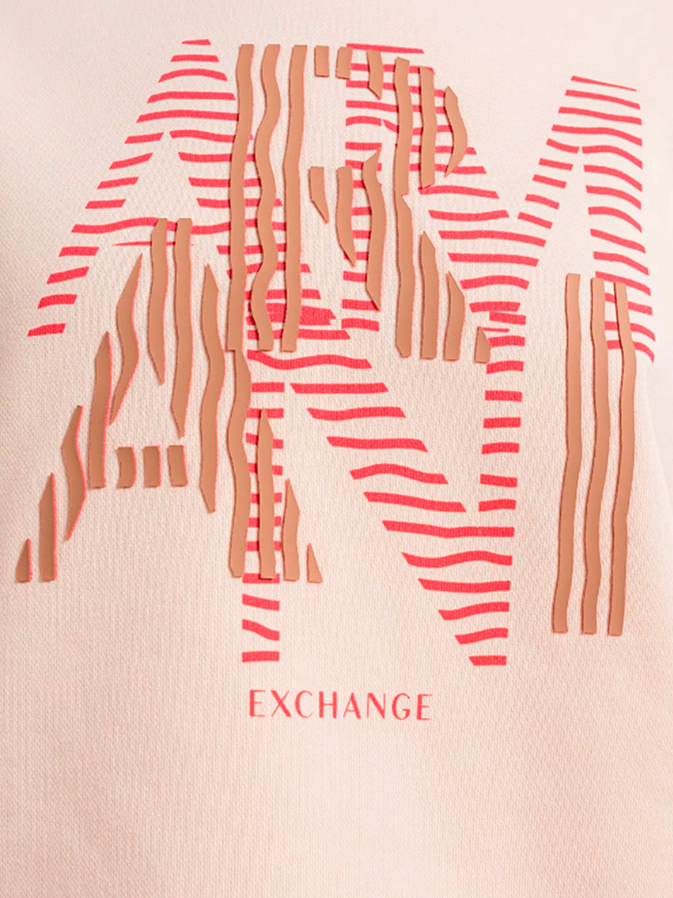Худи и свитшоты Armani Exchange модель 3RYM70-YJDBZ-14AS Фото