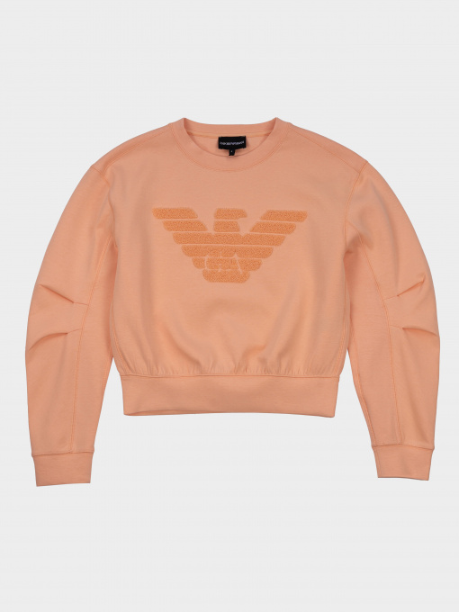 Худи и свитшоты Emporio Armani модель 3R2M6E-1JHSZ-0212 Фото