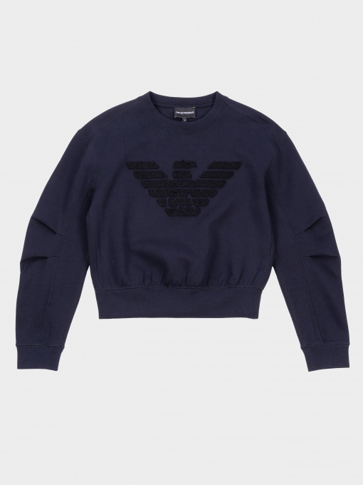 Худи и свитшоты Emporio Armani модель 3R2M6E-1JHSZ-0926 Фото