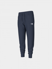 Брюки The North Face модель NF0A5GCB8Q01 Фото