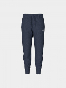 Брюки The North Face модель NF0A5GCB8Q01 Фото