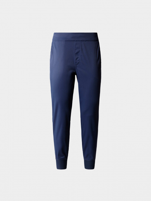 Брюки The North Face модель NF0A5JA98K21 Фото