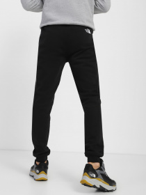 Брюки The North Face модель NF0A7X1WJK31 Фото