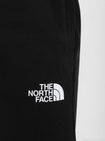 Брюки The North Face модель NF0A7X1WJK31 Фото