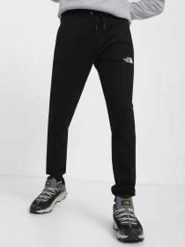 Брюки The North Face модель NF0A7X1WJK31 Фото