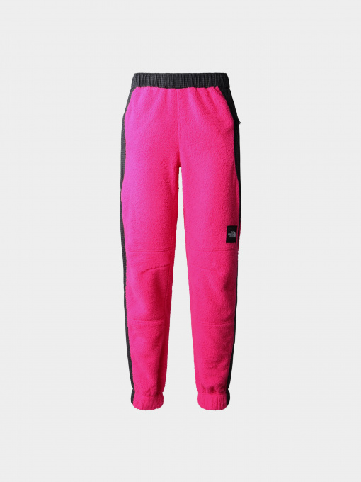 Брюки The North Face модель NF0A8241N161 Фото