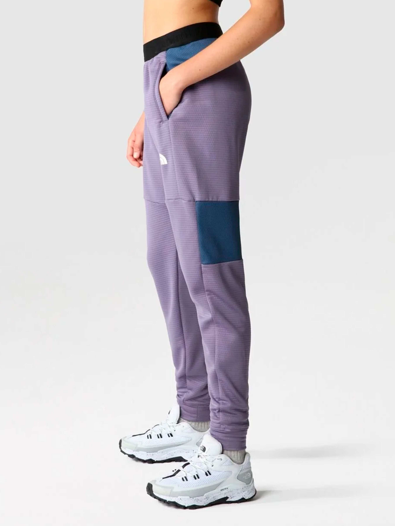 Брюки The North Face модель NF0A824RIJV1 Фото