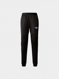 Брюки The North Face модель NF0A824RJK31 Фото