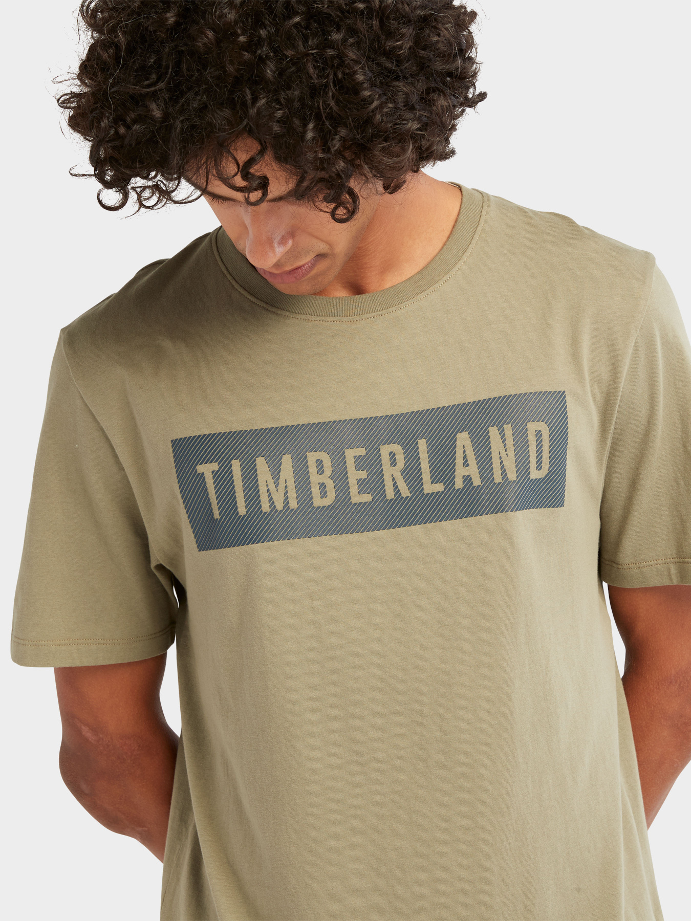 Футболки и поло Timberland модель TB0A2GD8590 Футболки и поло Timberland модель TB0A2GD8590 Фото