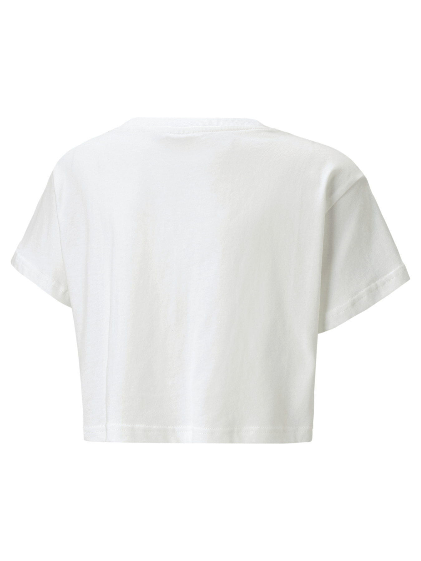 Футболка PUMA модель 538678 Футболка PUMA модель 538678 Фото