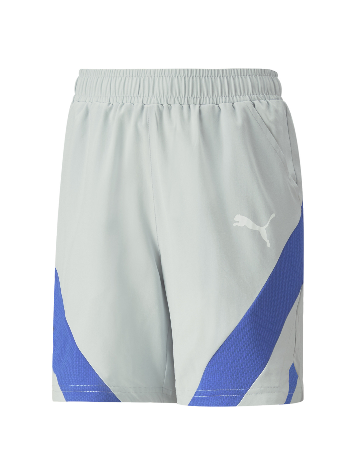 Шорты спортивные PUMA модель 673199 Фото