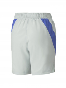 Шорты спортивные PUMA модель 673199 Фото