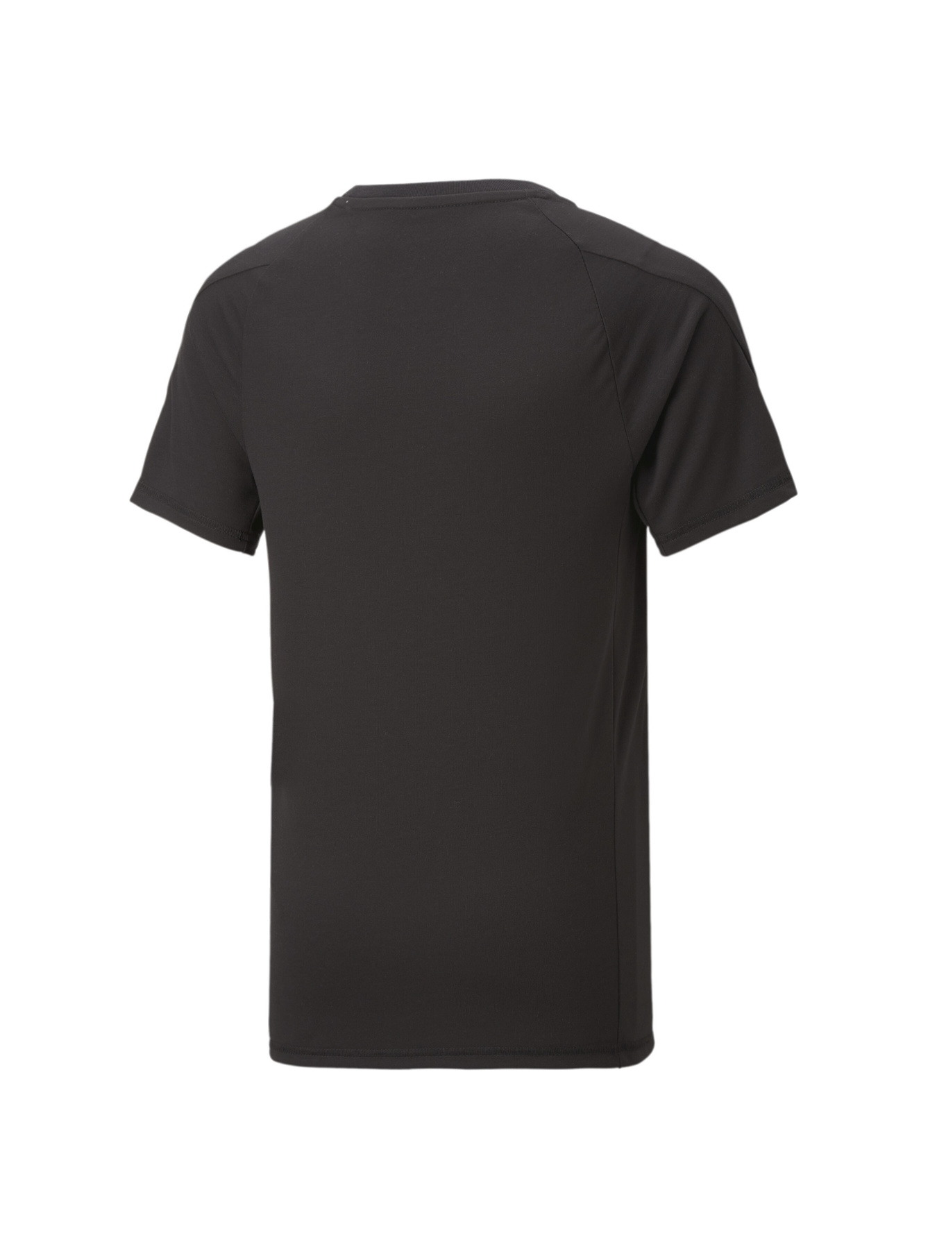 Футболка PUMA Evostripe Tee модель 673187 Футболка PUMA Evostripe Tee модель 673187 Фото