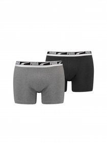 Набор трусов PUMA Men Multi Logo Boxer 2p модель 938047 Фото