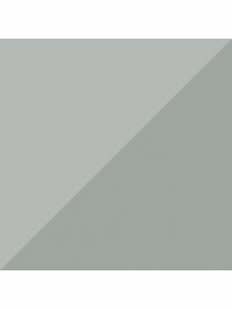 Набір шкарпеток PUMA Women Heart Short Sock модель 938020 Фото