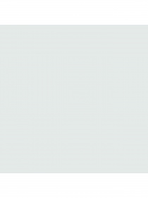 Набір шкарпеток PUMA Women Heart Short Sock модель 938020 Фото