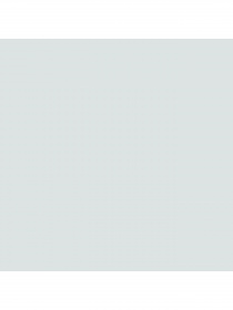 Набір шкарпеток PUMA Women Cat Logo Sneaker модель 938004 Фото