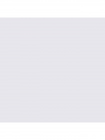 Набір шкарпеток PUMA Women Cat Logo Sneaker модель 938004 Набір шкарпеток PUMA Women Cat Logo Sneaker модель 938004 Фото