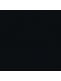 Набір шкарпеток PUMA Men Front Logo Crew 2P модель 938010 Фото