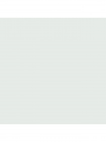 Набор носков PUMA Men Back Logo Sneaker 2 модель 938011 Фото