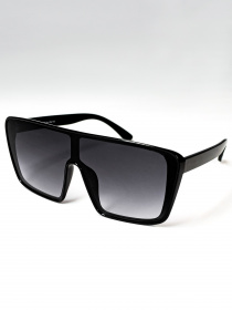 Очки ISSA Plus модель O1-64_black Фото