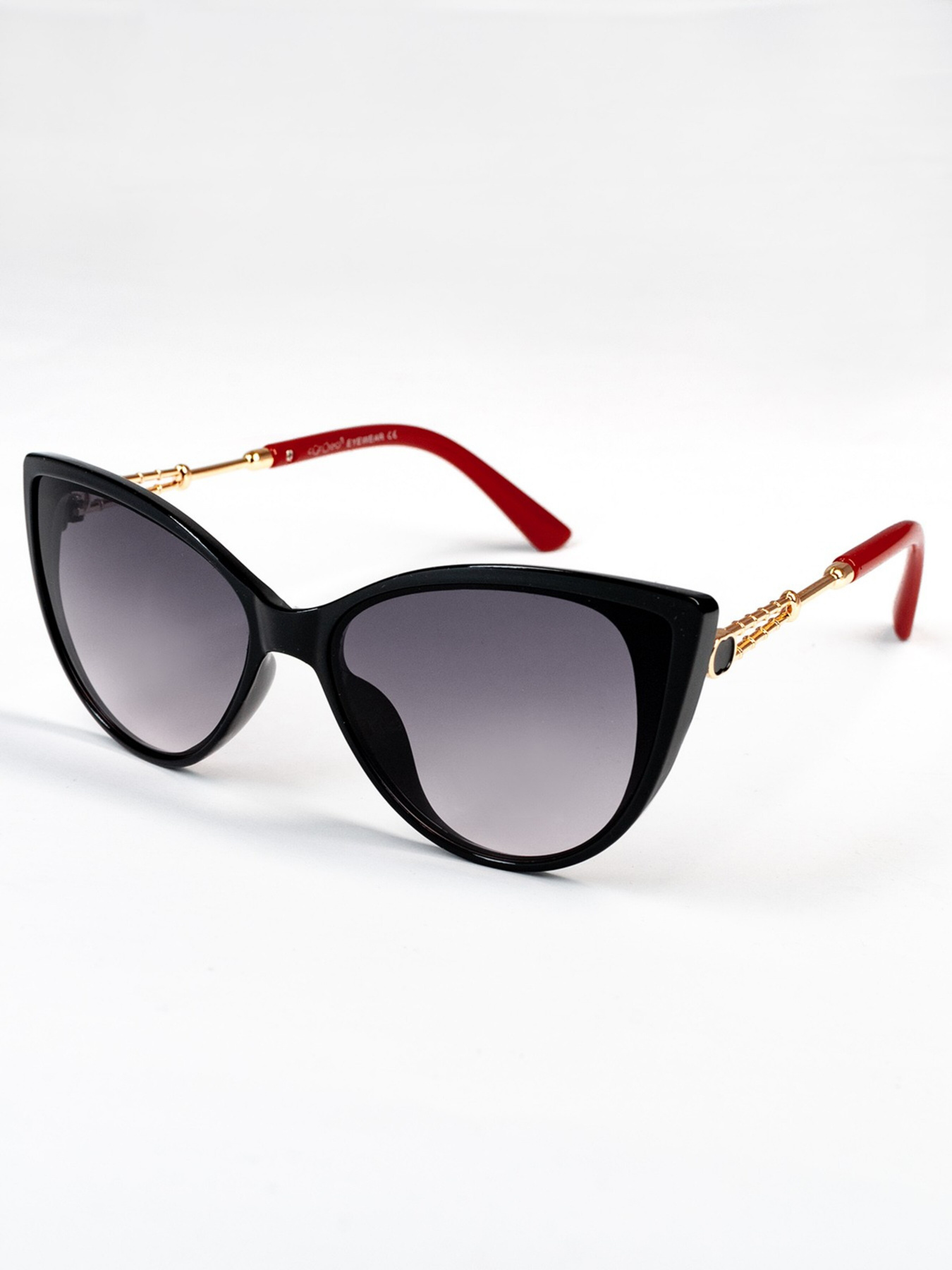 Очки ISSA Plus модель O1-68_blackred Фото