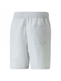 Шорты спортивные PUMA Classics Shorts 6” модель 538068 Фото