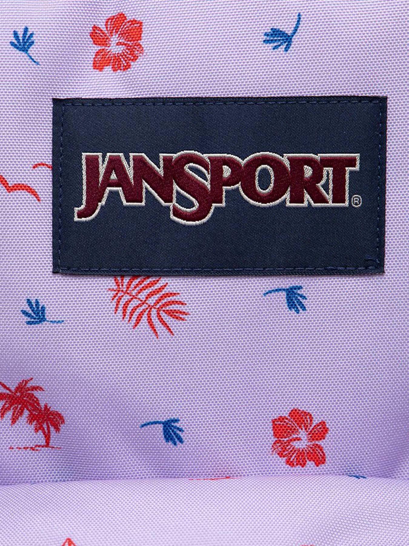 Рюкзаки JanSport модель EK0A5BAG1D91 Фото